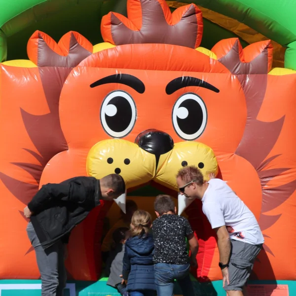 Leeuwen springkussen